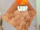 Bump - S/T * Orig 1970 Pioneer Detroit Psych LP Rare