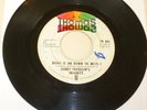 FUNK 45 RPM RECORD - BOBBY FRANKLIN'S INSANITY - THOMAS 801