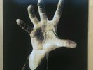System of A Down vinyl LP. Brand New. Never Played.