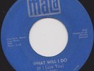 THE VAN DYKES - WHAT WILL I DO - I'VE GOT TO GO ON WITHOUT YOU