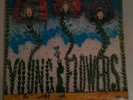 DLP YOUNG FLOWERS - BLOMSTERPISTOLEN + NO. 2 - DENMARK 1979 - RAR