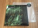 Disma Towards The Megalith 2xLP 7” Green Yellow Vinyl Incantation Autospy RARE