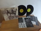 Aice In Chains Alice In Chains 2-LP vinyl record (Double Album) 1995 Mint