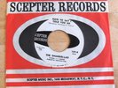 THE SHANGRI-LAS PROMO SCEPTER 45 WISHING WELL/HATE TO SAY I TOLD YOU SO