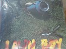 Phish - Lawn Boy (Vinyl LP)