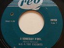 GARAGE PUNK M.G. & The Escorts A SOMEDAY FOOL Reo 45  Canadian KILLER