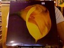 Swans The Burning World LP sealed vinyl RE reissue