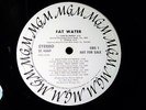 RARE '69 PROMO   FAT WATER   WICKED FEMALE VOCALS   HARD FUZZ GARAGE BLUES PSYCH