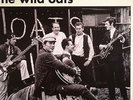 WILD OATS, The - The Wild Oats - Vinyl (10