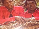 GG's roots The Maytones Best Of Ex/Ex Vinyl LP