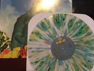 Blink 182 Buddha Splatter Peacock Feather LP Less Than Jake NOFX