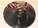 W.A.S.P. I FUCK LIKE A BEAST VERY RARE PICTURE DISC