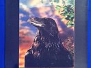 Stranglers - The Raven Japanese Pressing 3-D Cover GP 765