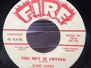 Elmo James THE SKY IS CRYING 1960 orig. Blues R&B Rocker 45  FIRE 1016 E ELMORE