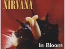 Nirvana In Bloom EP 12