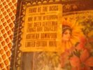 Panic At The Disco - Pretty Odd LP vinyl LIMITED