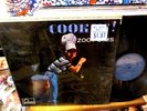 Zoot Sims Lp Cookin  in Shrink Nr Mint FONTANA w Ronnie Scott 1961