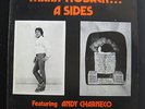 Mark Hoback ?- A Sides LP VG+ 12-33-07 Private 1980 Lofi Psych Vinyl Record