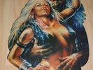 Warlock Triumph and Agony Rarität Picture Lp inkl größte Cover der Welt