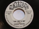 Charles Hodges - Can I Run To You/ There Is Love - SOUL 45