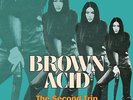 Riding Easy Records - Brown Acid: The Second Trip