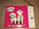 Slaves - Are You Satisfied Signed Vinyl