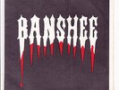 Canada Toronto Indie 1983 Hard Rock Metal (like RUSH) 45 - BANSHEE - Breakdown