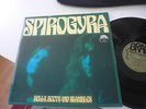 SPIROGYRA BELLS,BOOTS AND SHAMBLES 1973 IN MINT