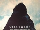 VILLAGERS - Where Have You Been All My Life? - Vinyl (LP)
