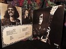  1971 Wild HARD HEAVY PSYCH = ADVENTURE OF ROBERT SAVAGE 