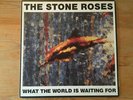The Stone Roses What the World is Waiting For / Fools Gold 12in Vinyl