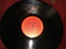 Bruce Springsteen -- BORN TO RUN -- signed vinyl record