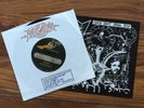 TEST PRESS : INTEGRITY VVe Are the End 7