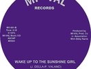 WAKE UP TO THE SUNSHINE GIRL Joey Delorenzo*NORTHERN SOUL*