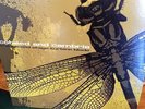 Coheed and Cambria Second Stage Turbine Blade GREEN VINYL +7