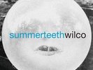 Summerteeth - Wilco (2009, Vinyl NEU) 180gm Vinyl3 DISC SET