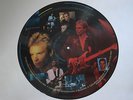 STING PICTURE DISC LP Dream Of The Blue Turtles UK 1985 Limited Edition