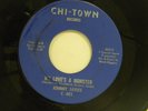 Johnny Sayles 45 MY LOVE'S A MONSTER / NEVER LET ME GO   Chi Town M-