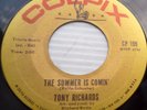 TONY RICHARDS 45 Summer is comin Shout my name aka PASSALAQUA Fascinators  e7211
