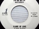 DANNY WINCHELL Flame of love Wasn't it a wonderful summer POPCORN promo 45 e6985