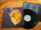 SWANS - THE BURNING WORLD / MCA / 89 EUROPA  LP / RARE / OIS