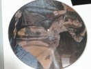 DAVID BOWIE PICTURE DISC MAN WHO SOLD THE WORLD DRAG COVER INTERVIEW DISC  RARE