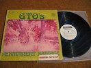 The GTO's/ Permanent Damage/ Straight/ 1969/ Promo WLP/ Zappa/ Psych Weirdness