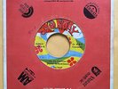 THE SEEDS Try to understand GARAGE ROCK PSYCH FREAKBEAT PUNK FUZZ NICARAGUA 45
