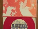 BROTHERHOOD NO TOLERANCE 7