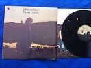 LP vinile mai suonato 1^ stampa originale GRANDE PINO DANIELE NERO A META