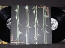 TYPE O NEGATIVE - OCTOBER RUST  2LP