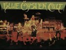 1985 Tour Programme Blue Oyster Cult UK tour programme TOUR PROGRAMME 1985