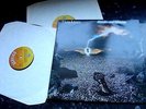 THIN LIZZY - SCARCE IRISH 1st PRESS LP & 12