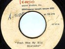 UNKNOWN FUNK SOUL ACETATE - THAT WAS MY BIG MISTAKE / NITTY GRITTY MUSIC
